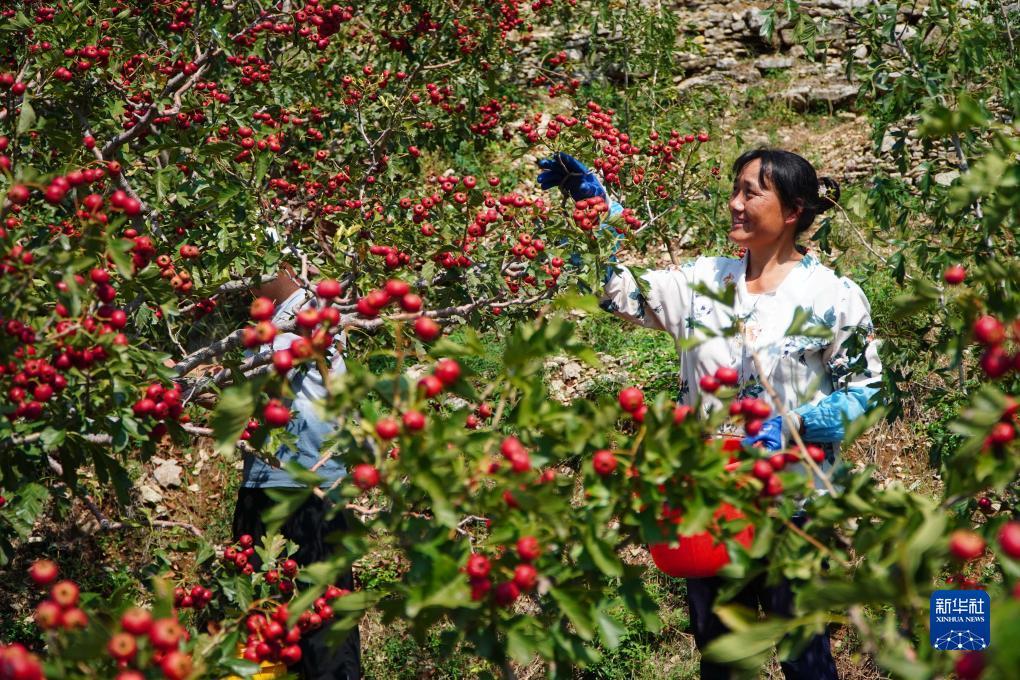 新莆京娱乐场app下载